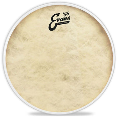 Parche Evans 13 pulgadas Calftone ‘56